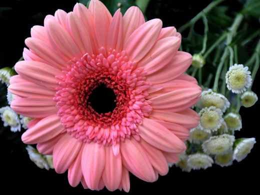 430085 (a): :1600x1200